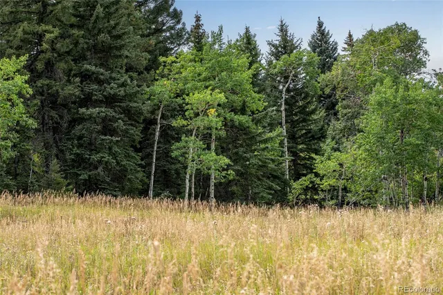 a view of a house with a mountain yard