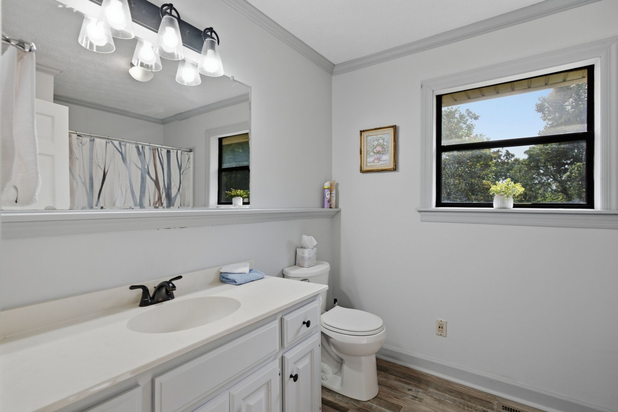 145 Crenshaw Road Bethpage, TN 37022 - Photo 14 of 34 a bathroom with a sink a toilet and a mirror