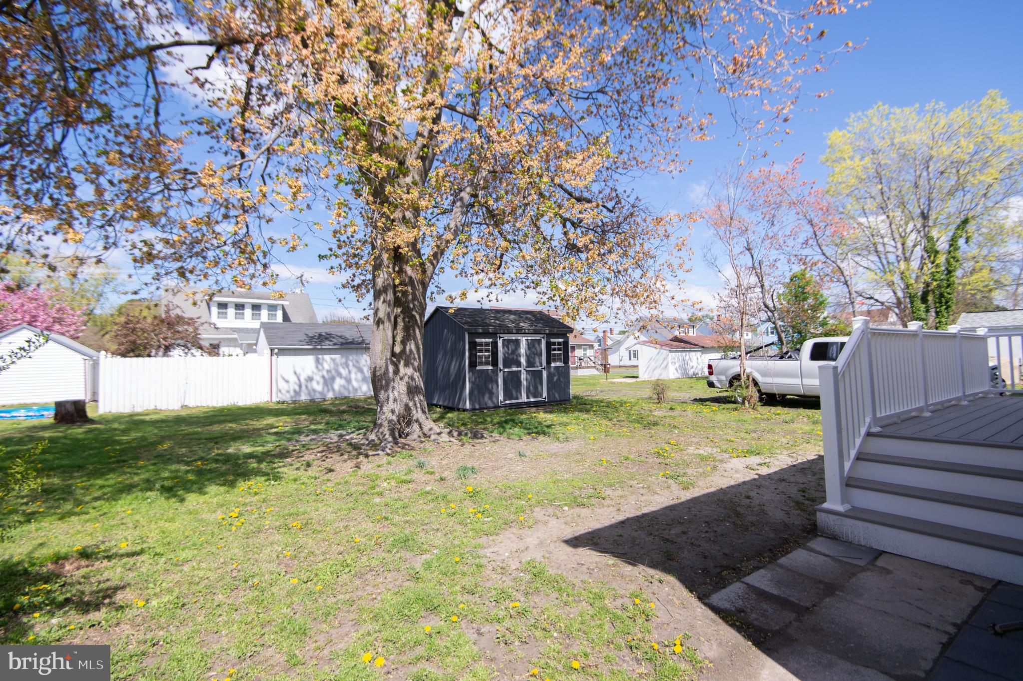 917 Springfield Avenue Cambridge, MD 21613 - Photo 36 of 42 a view of a yard with plants and trees