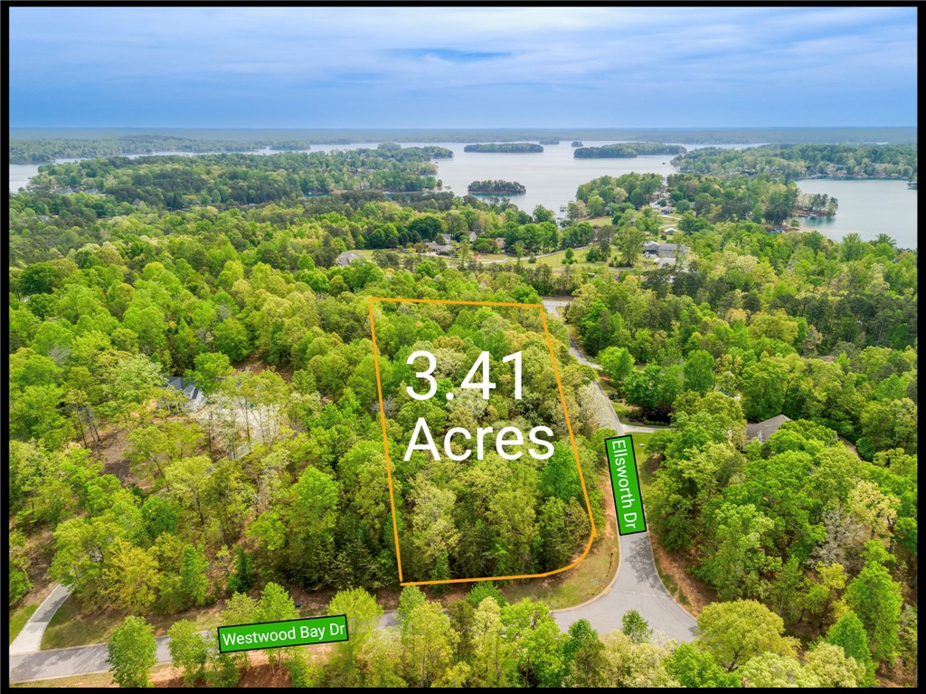 This expansive wooded lot offers serene natural surroundings and convenient road access for your future home.