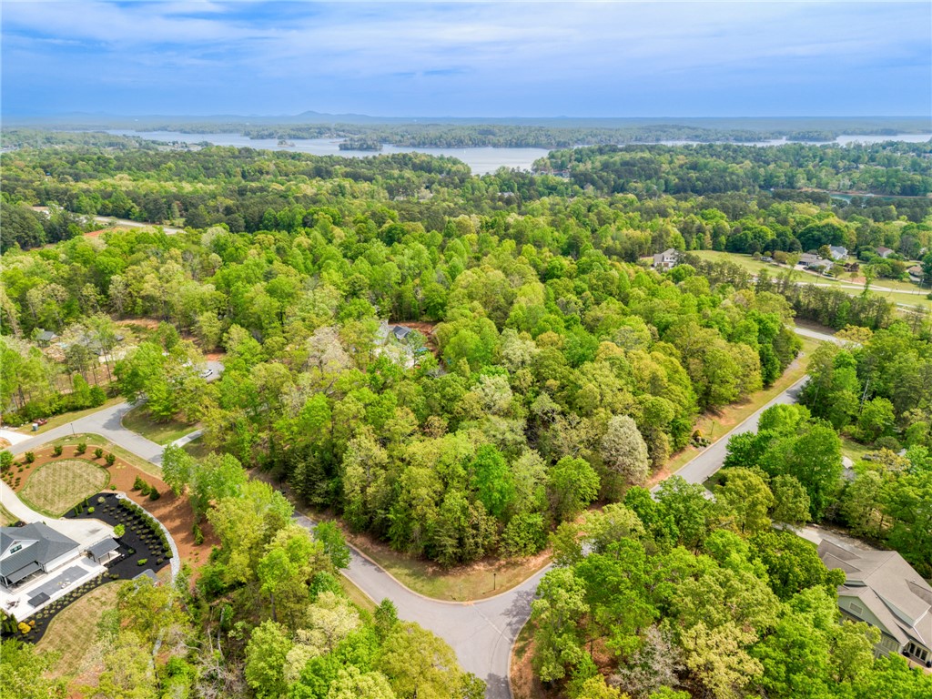 0 Ellsworth Drive Seneca, SC 29672 - Photo 4 of 7 This aerial view showcases a vibrant green landscape with serene water views in the distance.