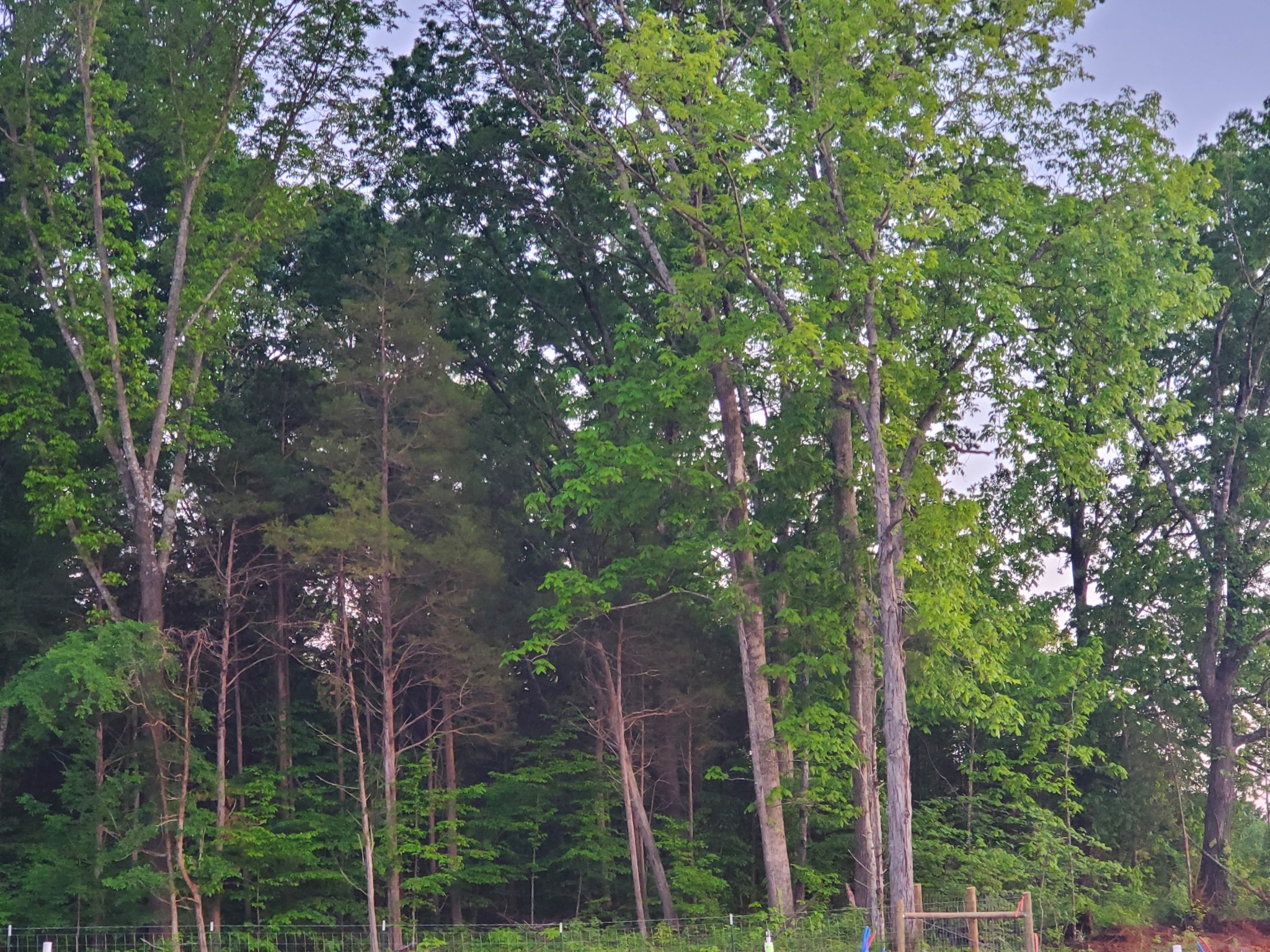 2432 Red Barn Road Christiana, TN 37037 - Photo 31 of 40 Gallery Image 31