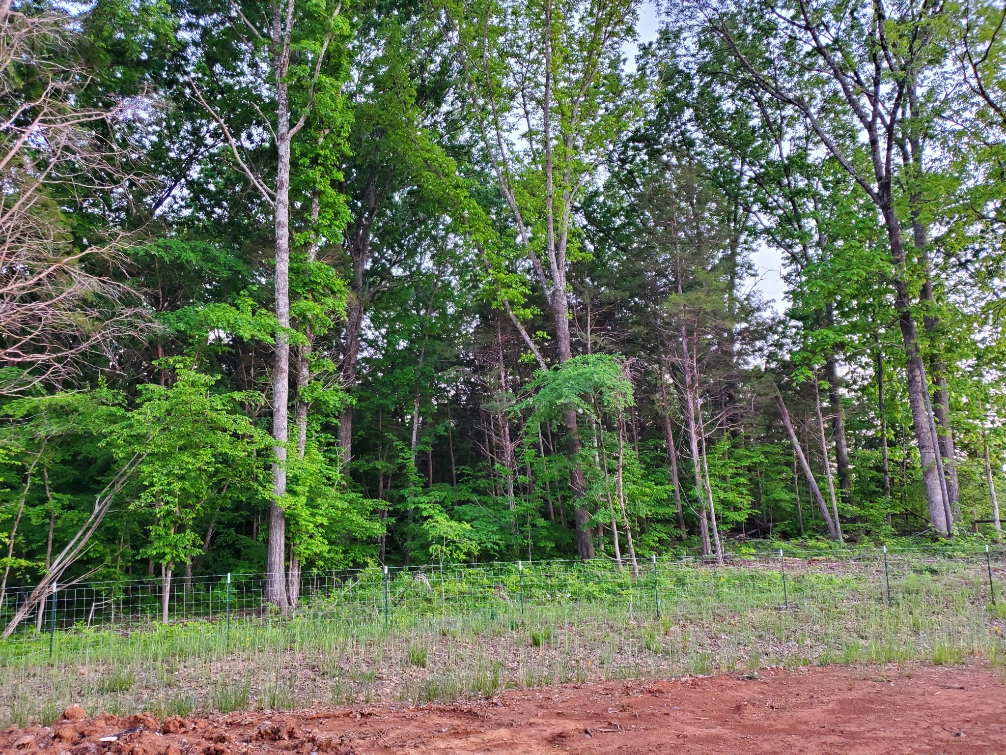 2432 Red Barn Road Christiana, TN 37037 - Photo 4 of 40 Gallery Image 4