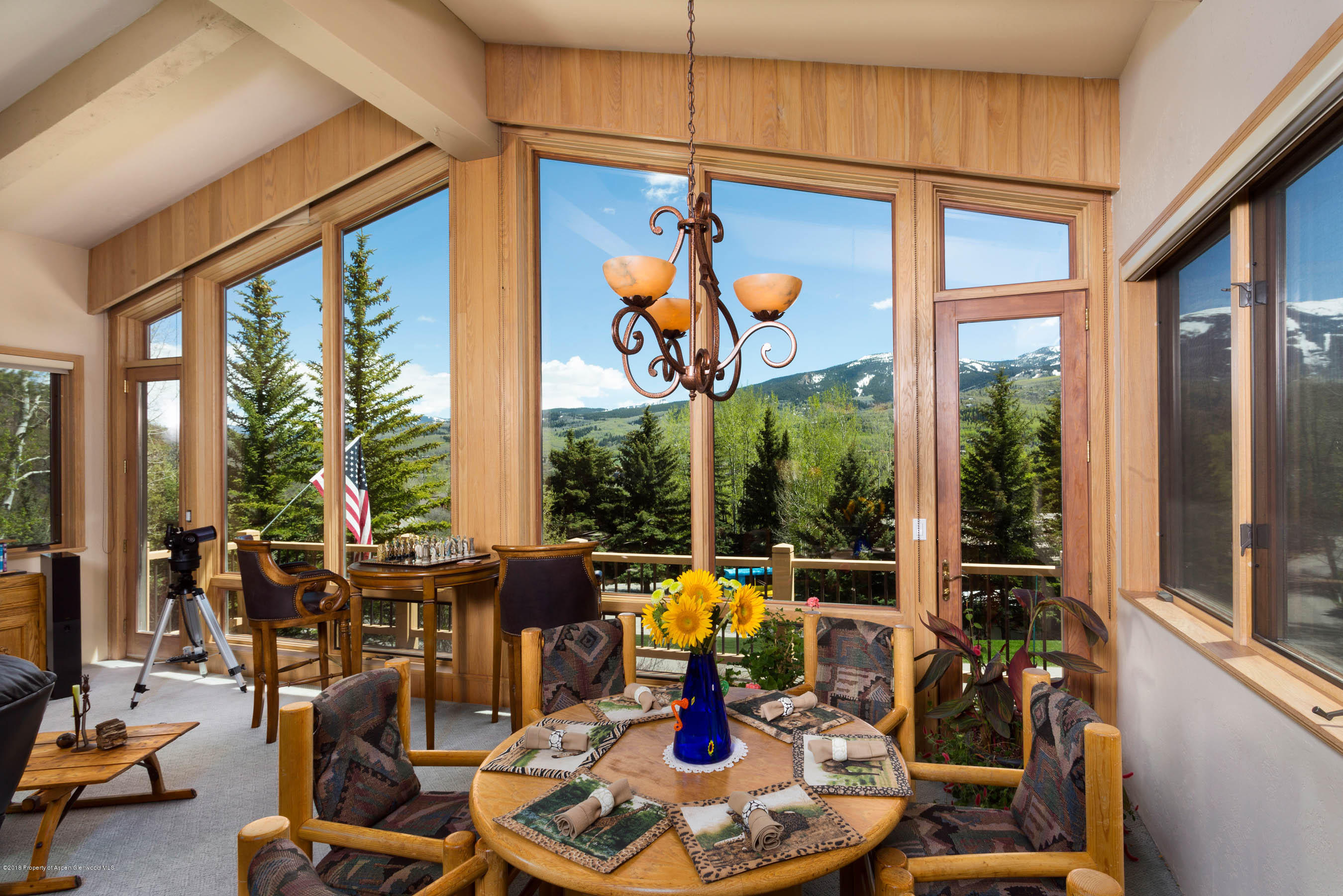 575 Meadow Road Snowmass Village, CO 81615 - Photo 3 of 18 Shot3