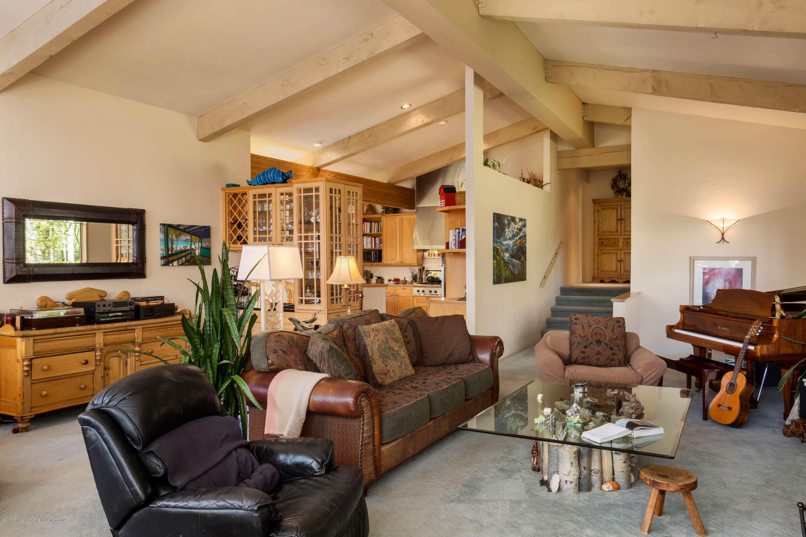 575 Meadow Road Snowmass Village, CO 81615 - Photo 4 of 18 Shot5