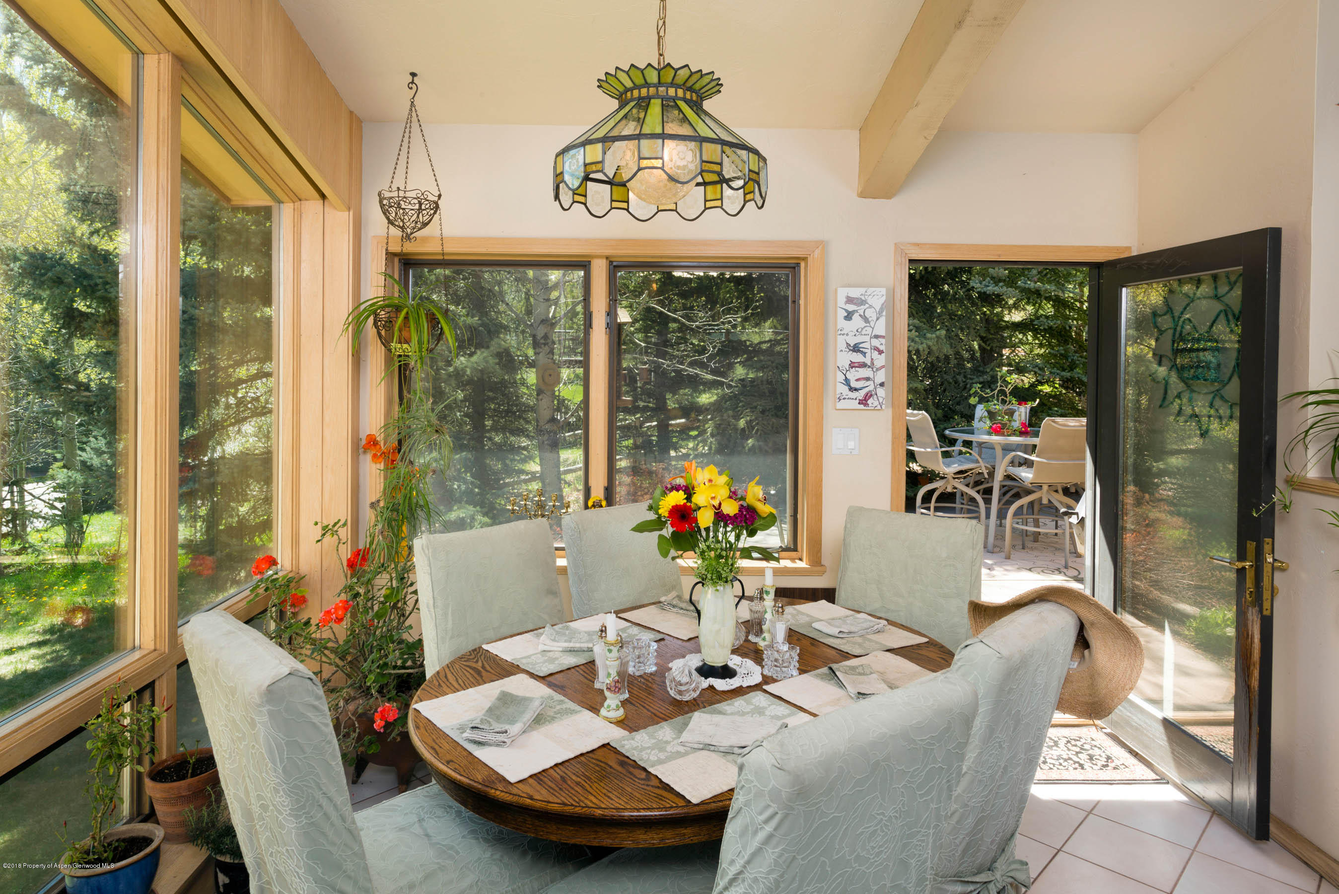 575 Meadow Road Snowmass Village, CO 81615 - Photo 5 of 18 Shot9