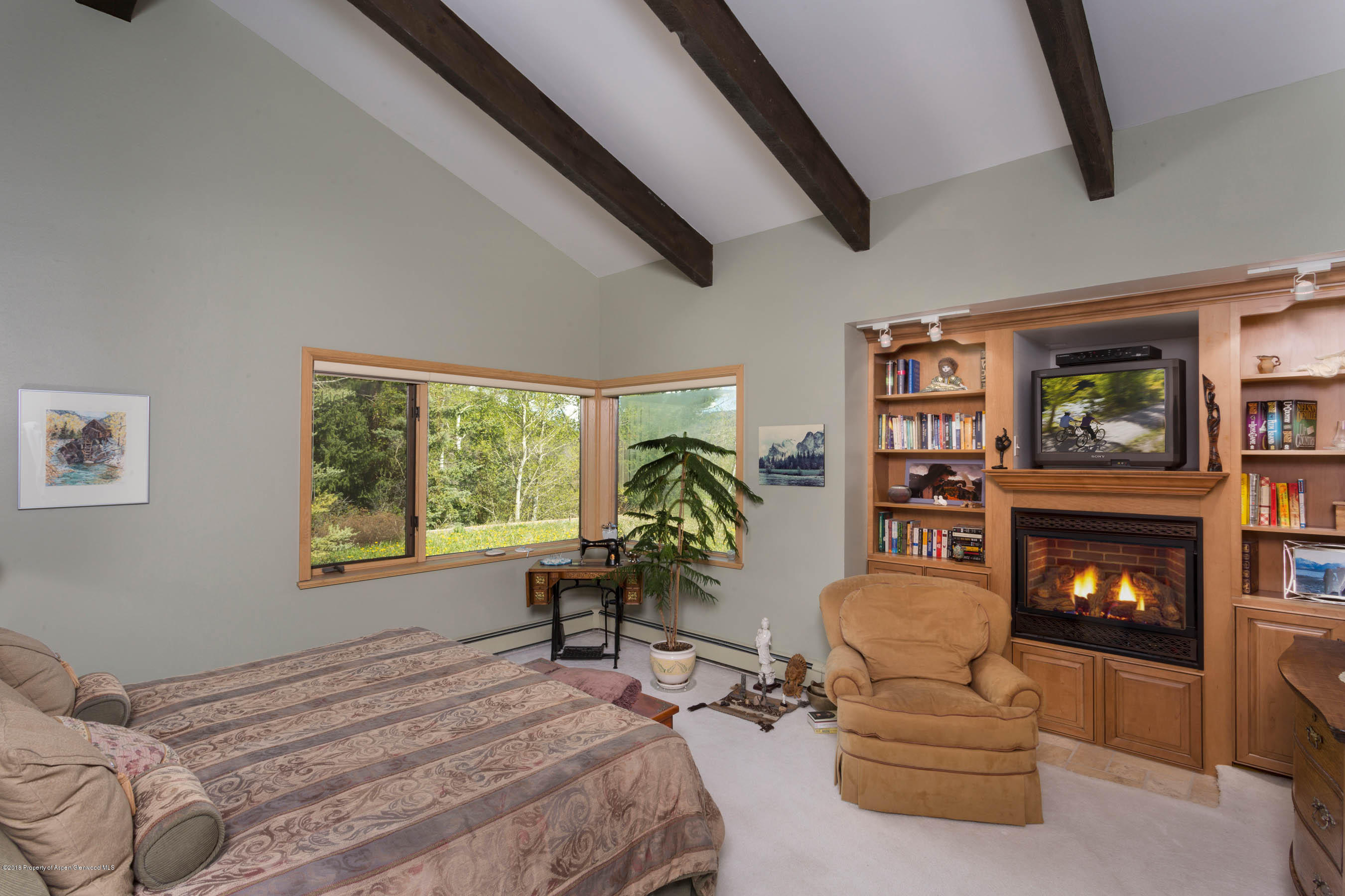 575 Meadow Road Snowmass Village, CO 81615 - Photo 9 of 18 Shot16