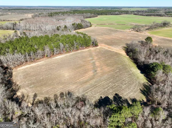 $1,032,000 | 0 Jenkins Farm Road, Byromville, GA 31007