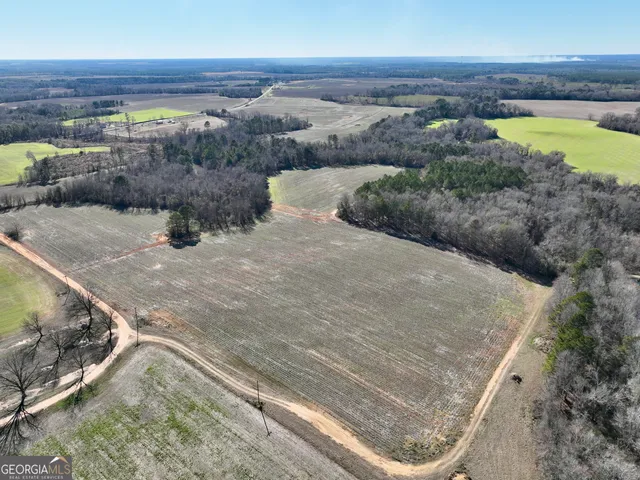 $1,032,000 | 0 Jenkins Farm Road, Byromville, GA 31007