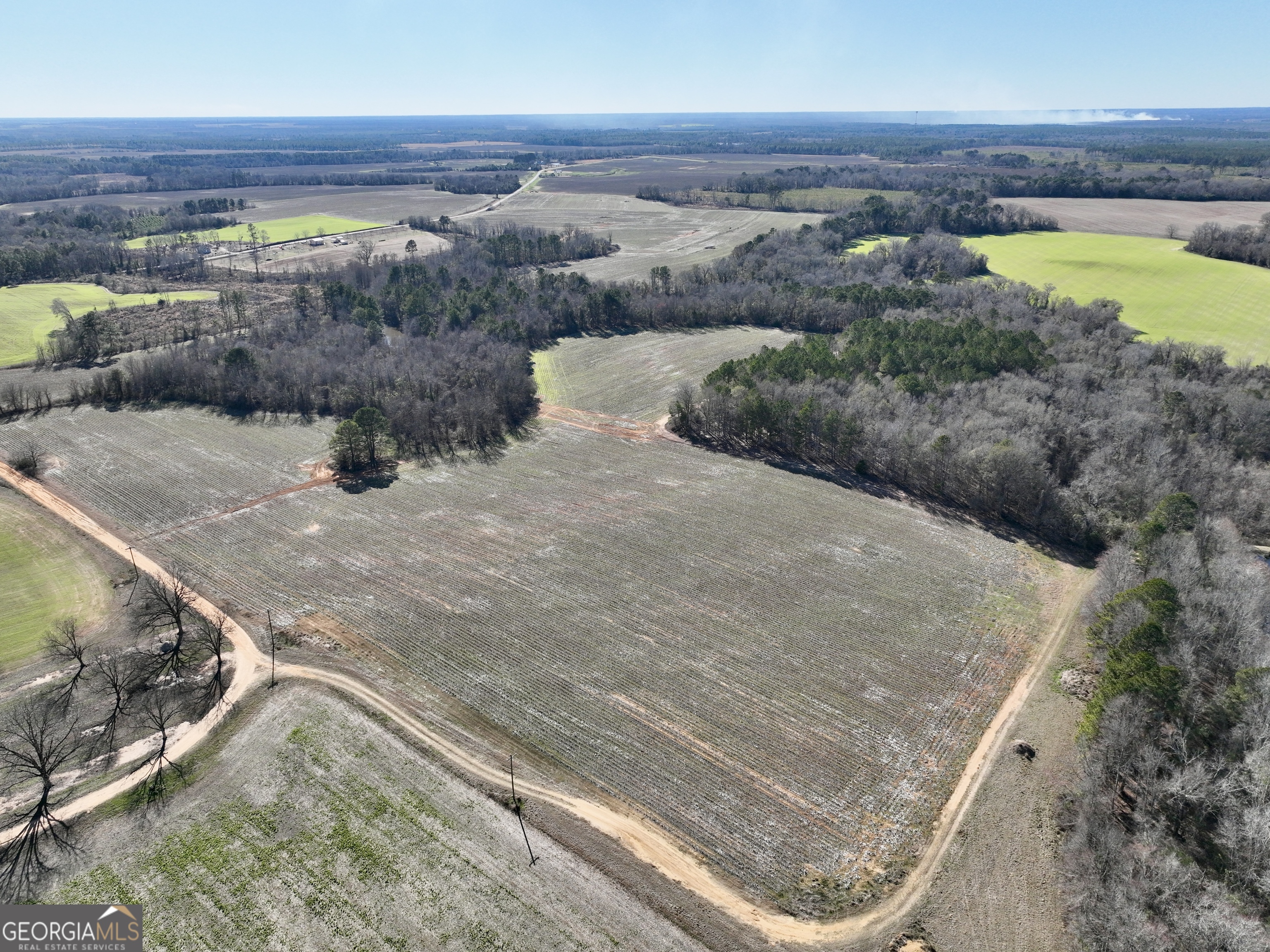 0 Jenkins Farm Road Byromville, GA 31007 - Photo 11 of 66