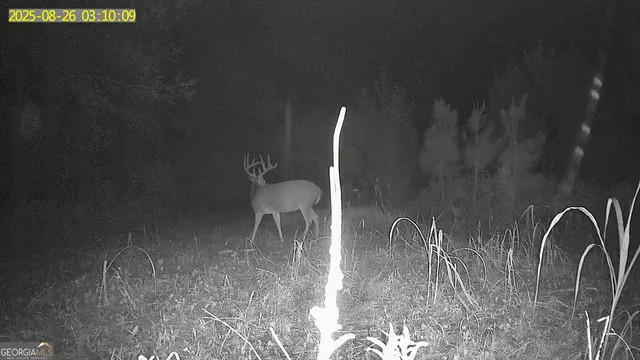 $1,032,000 | 0 Jenkins Farm Road, Byromville, GA 31007