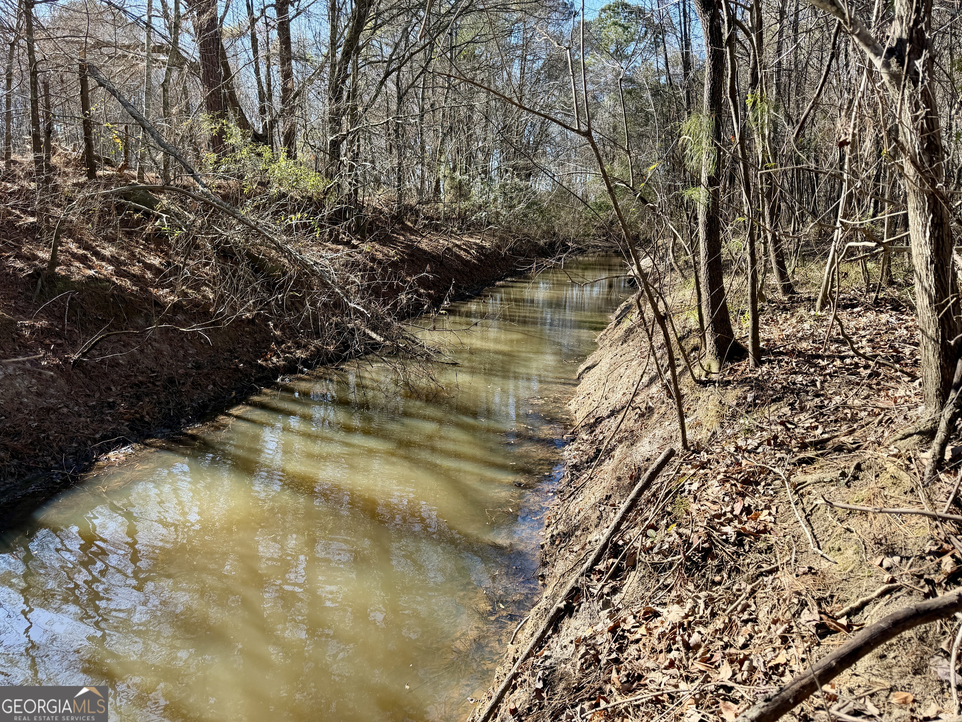 0 Jenkins Farm Road Byromville, GA 31007 - Photo 14 of 66