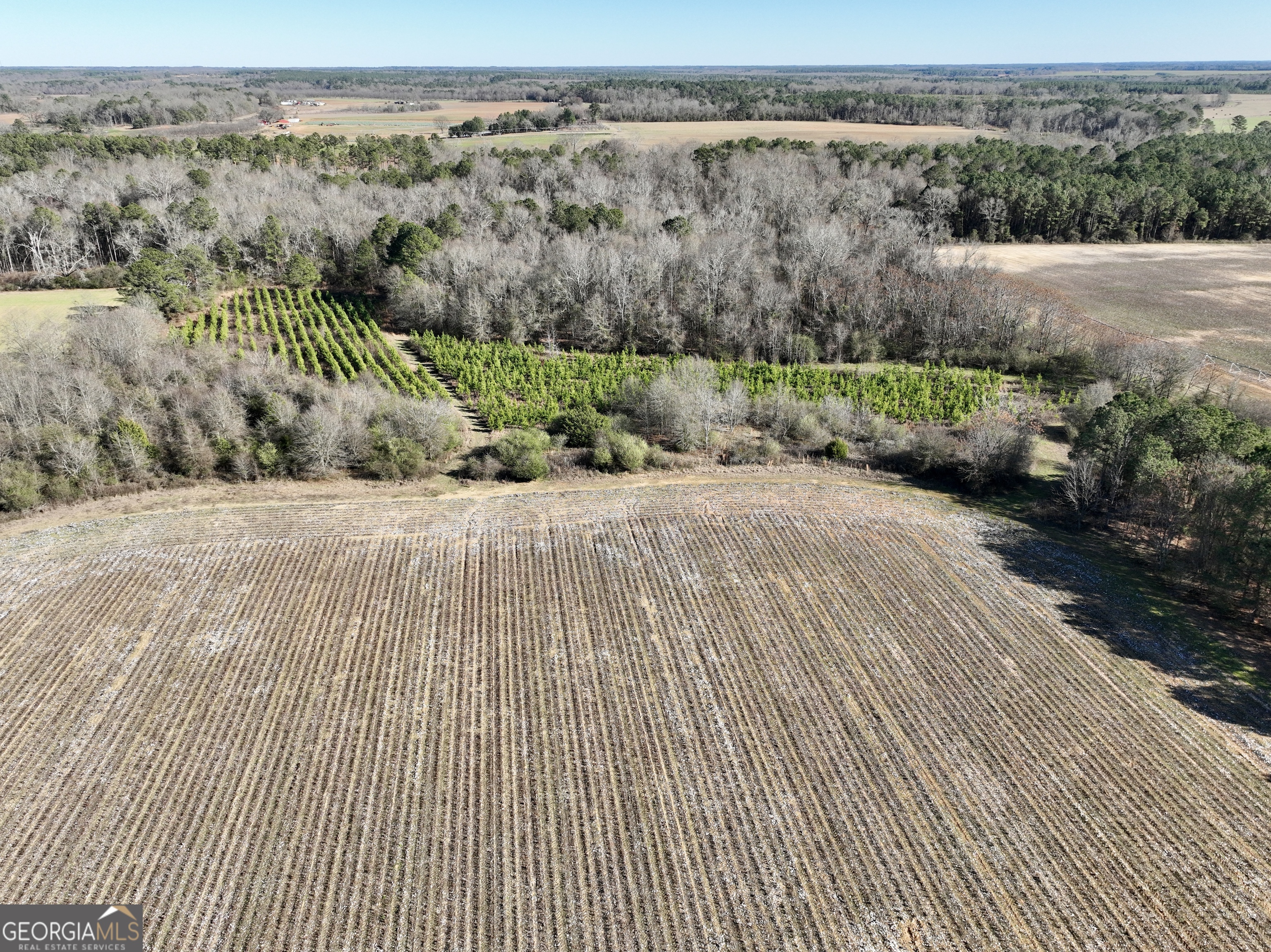 0 Jenkins Farm Road Byromville, GA 31007 - Photo 17 of 66