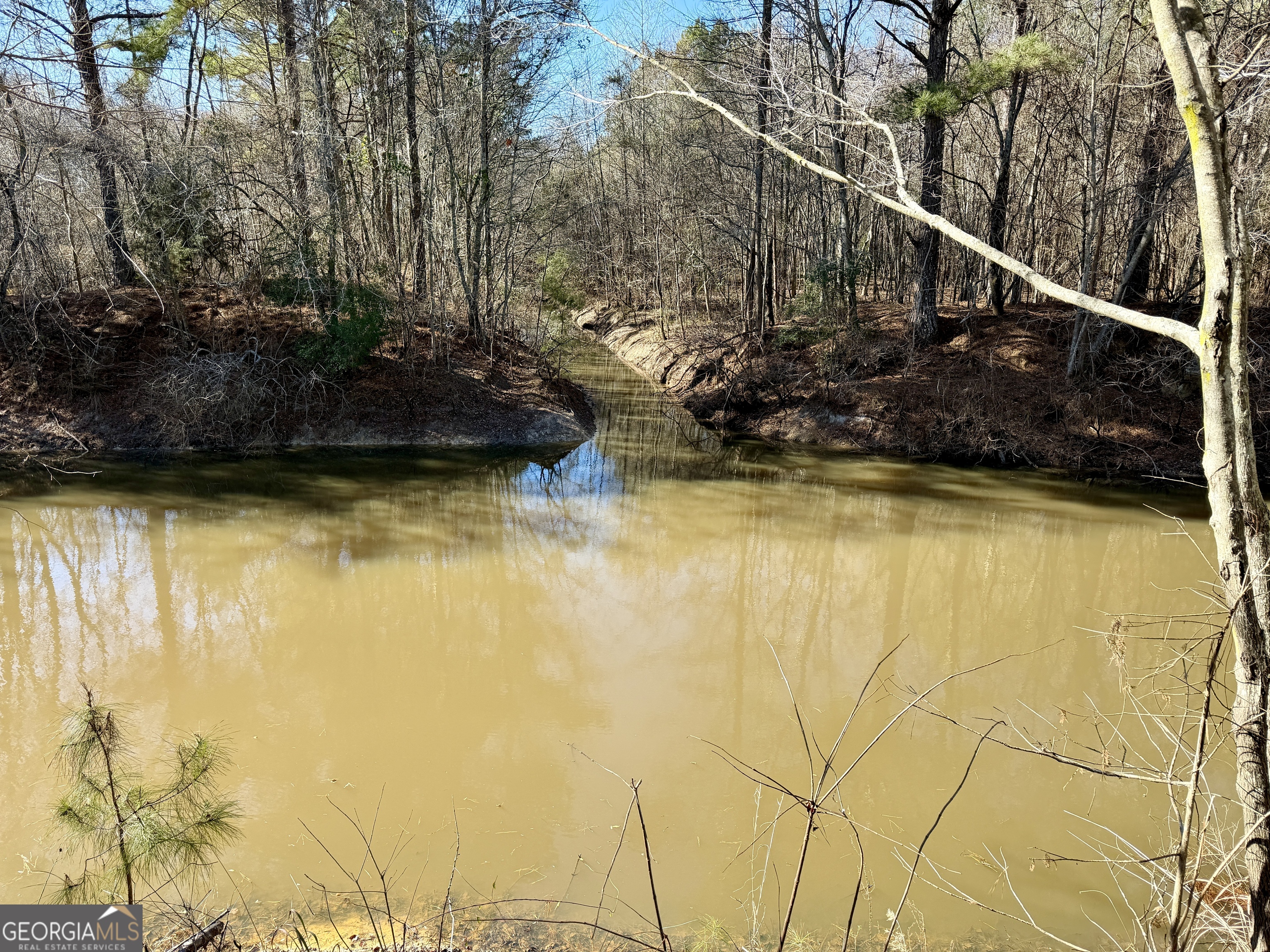 0 Jenkins Farm Road Byromville, GA 31007 - Photo 18 of 66