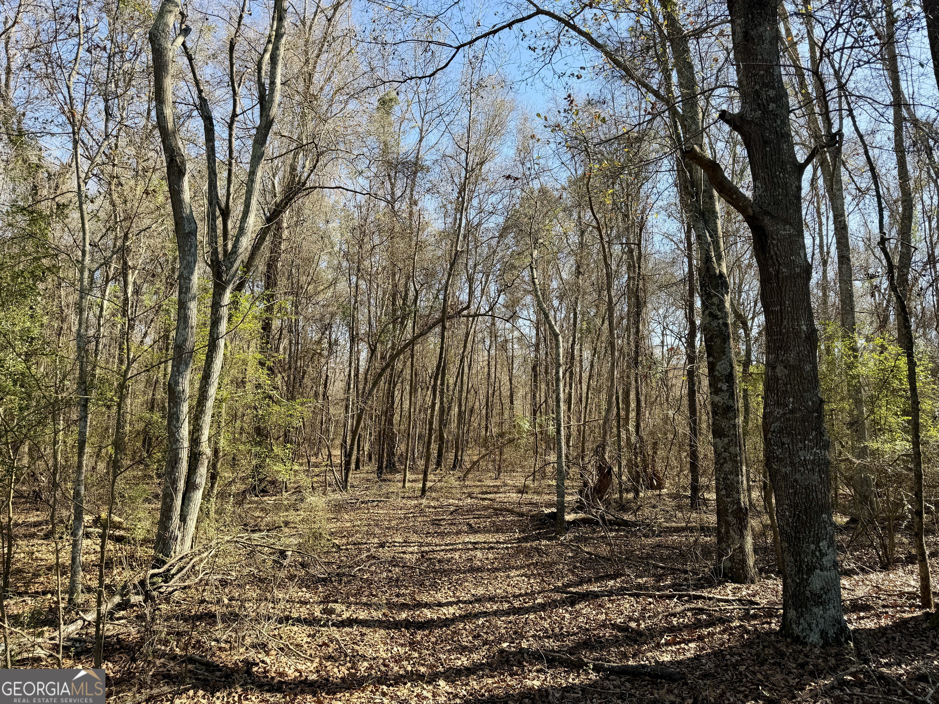 0 Jenkins Farm Road Byromville, GA 31007 - Photo 20 of 66