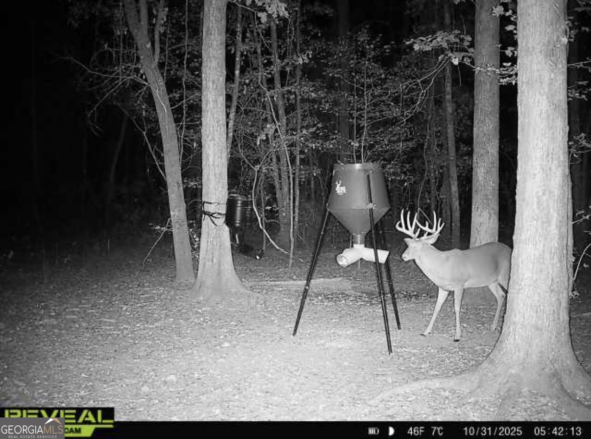 0 Jenkins Farm Road Byromville, GA 31007 - Photo 2 of 66