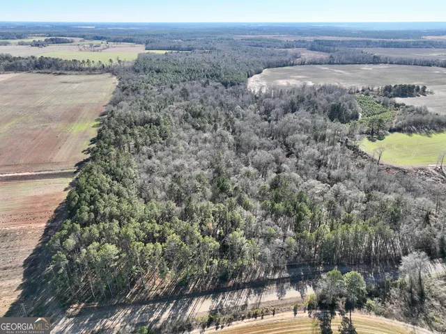 $1,032,000 | 0 Jenkins Farm Road, Byromville, GA 31007