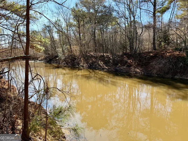 $1,032,000 | 0 Jenkins Farm Road, Byromville, GA 31007