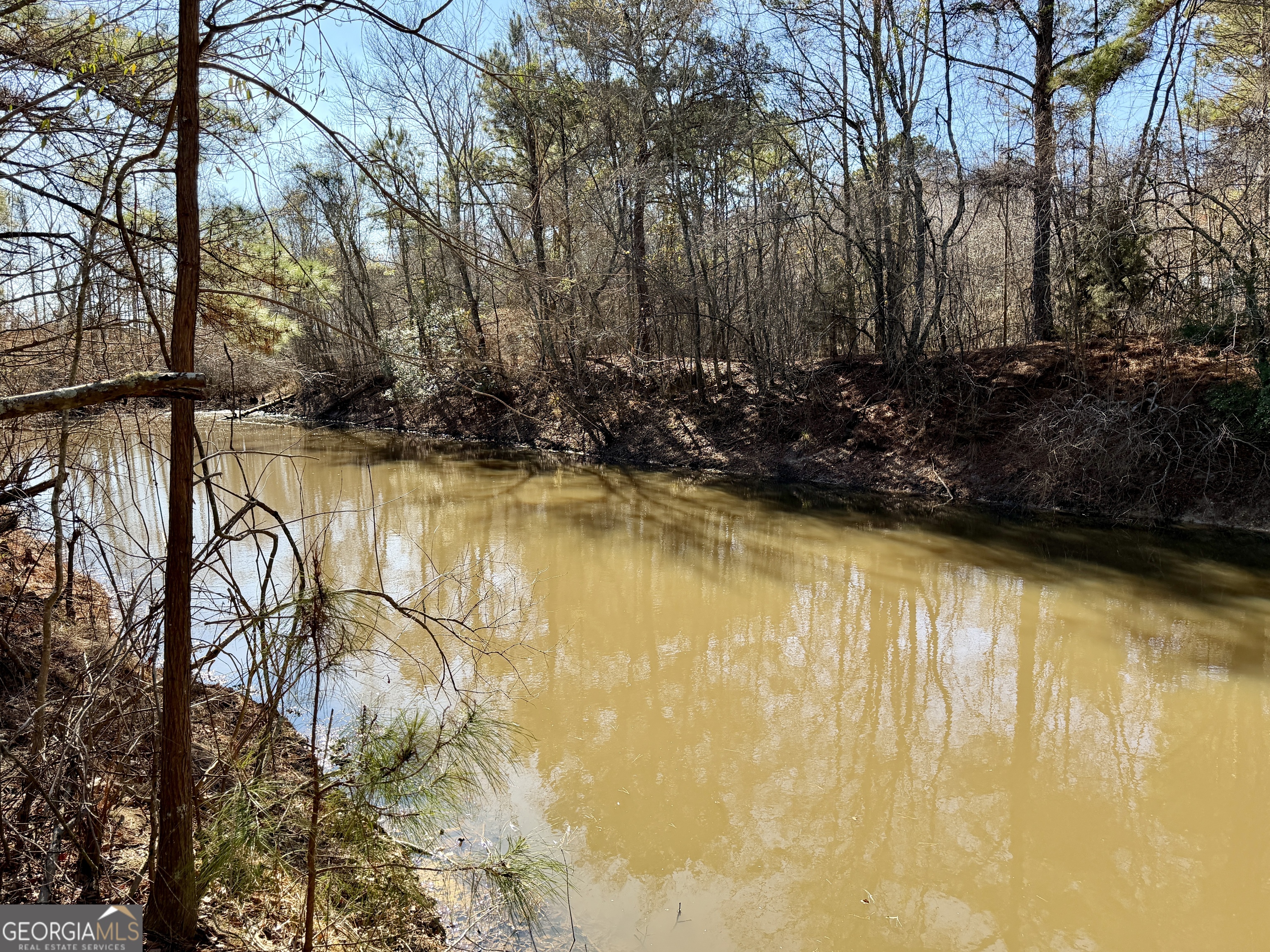 0 Jenkins Farm Road Byromville, GA 31007 - Photo 23 of 66