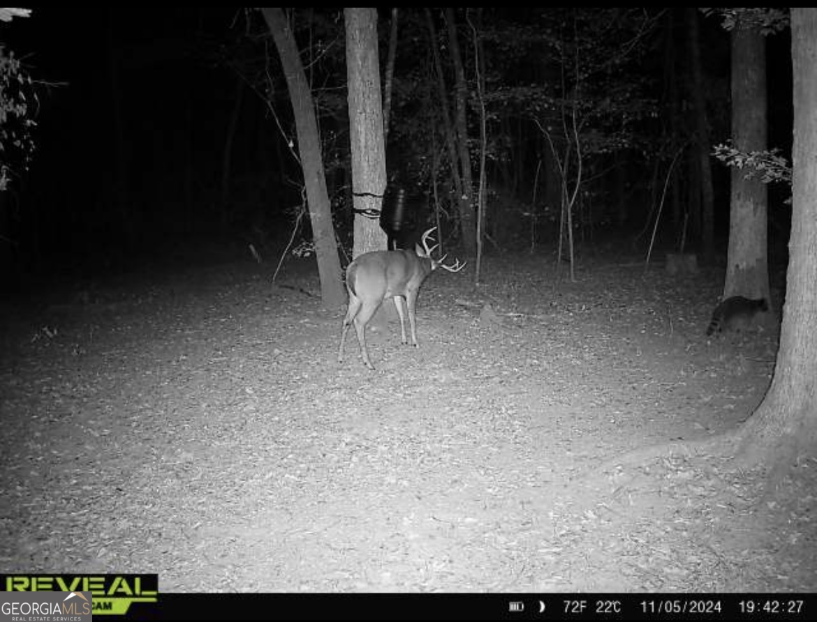 0 Jenkins Farm Road Byromville, GA 31007 - Photo 24 of 66