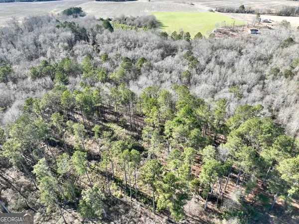 $1,032,000 | 0 Jenkins Farm Road, Byromville, GA 31007