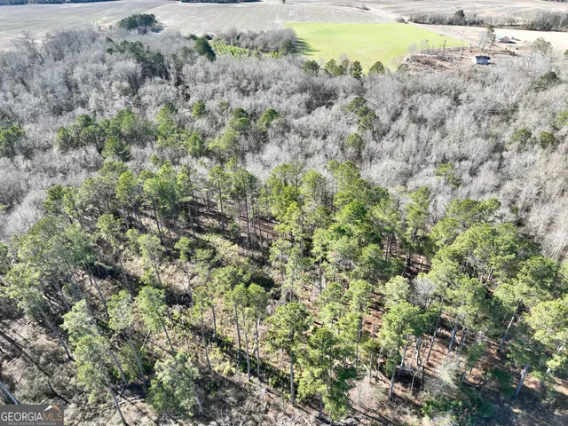 $1,032,000 | 0 Jenkins Farm Road, Byromville, GA 31007