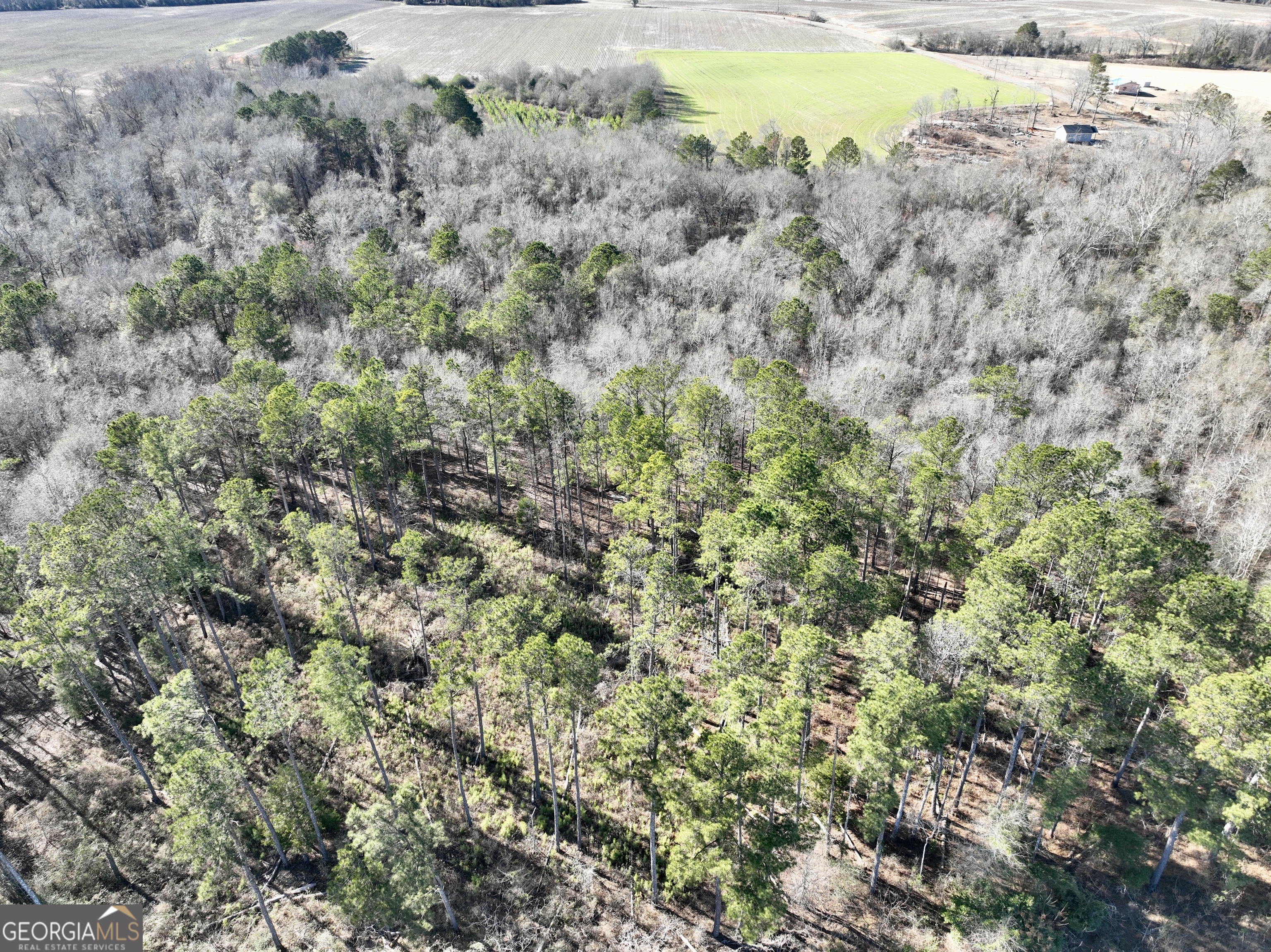 0 Jenkins Farm Road Byromville, GA 31007 - Photo 25 of 66