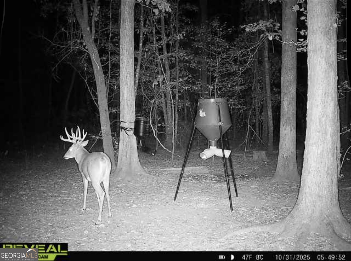 0 Jenkins Farm Road Byromville, GA 31007 - Photo 26 of 66