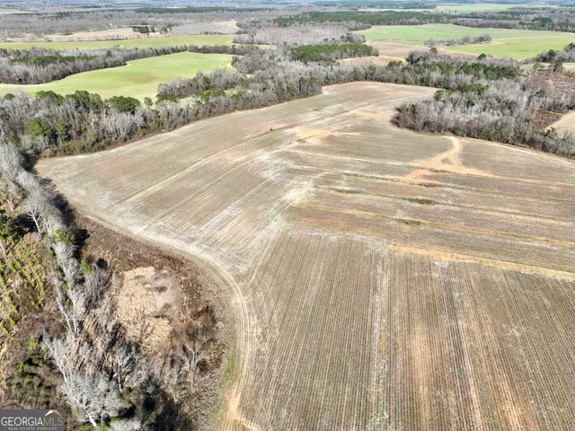 $1,032,000 | 0 Jenkins Farm Road, Byromville, GA 31007