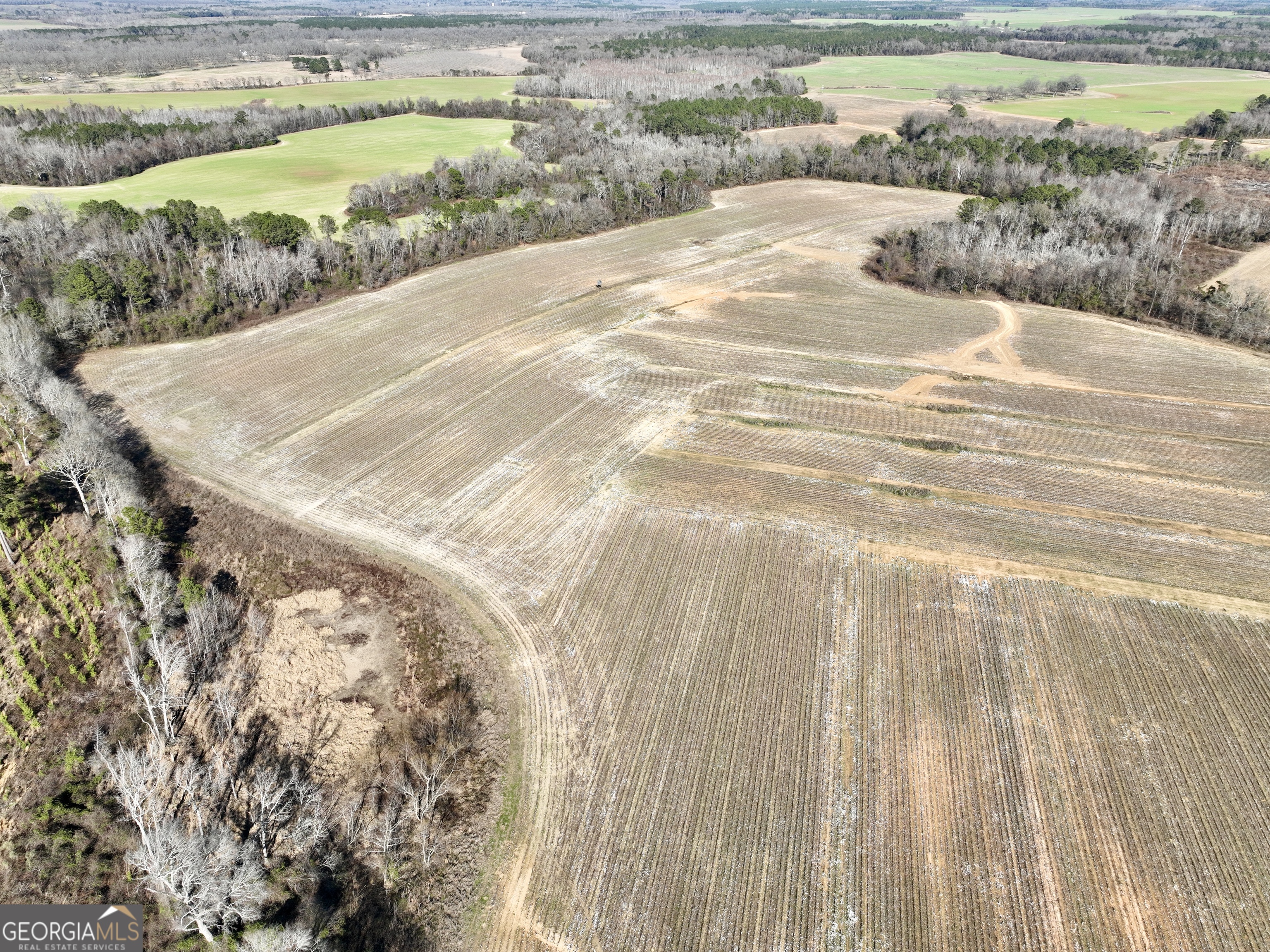 0 Jenkins Farm Road Byromville, GA 31007 - Photo 29 of 66