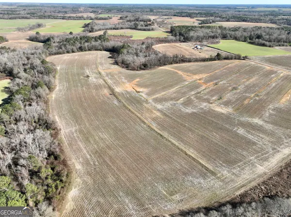 $1,032,000 | 0 Jenkins Farm Road, Byromville, GA 31007