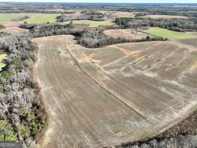 $1,032,000 | 0 Jenkins Farm Road, Byromville, GA 31007