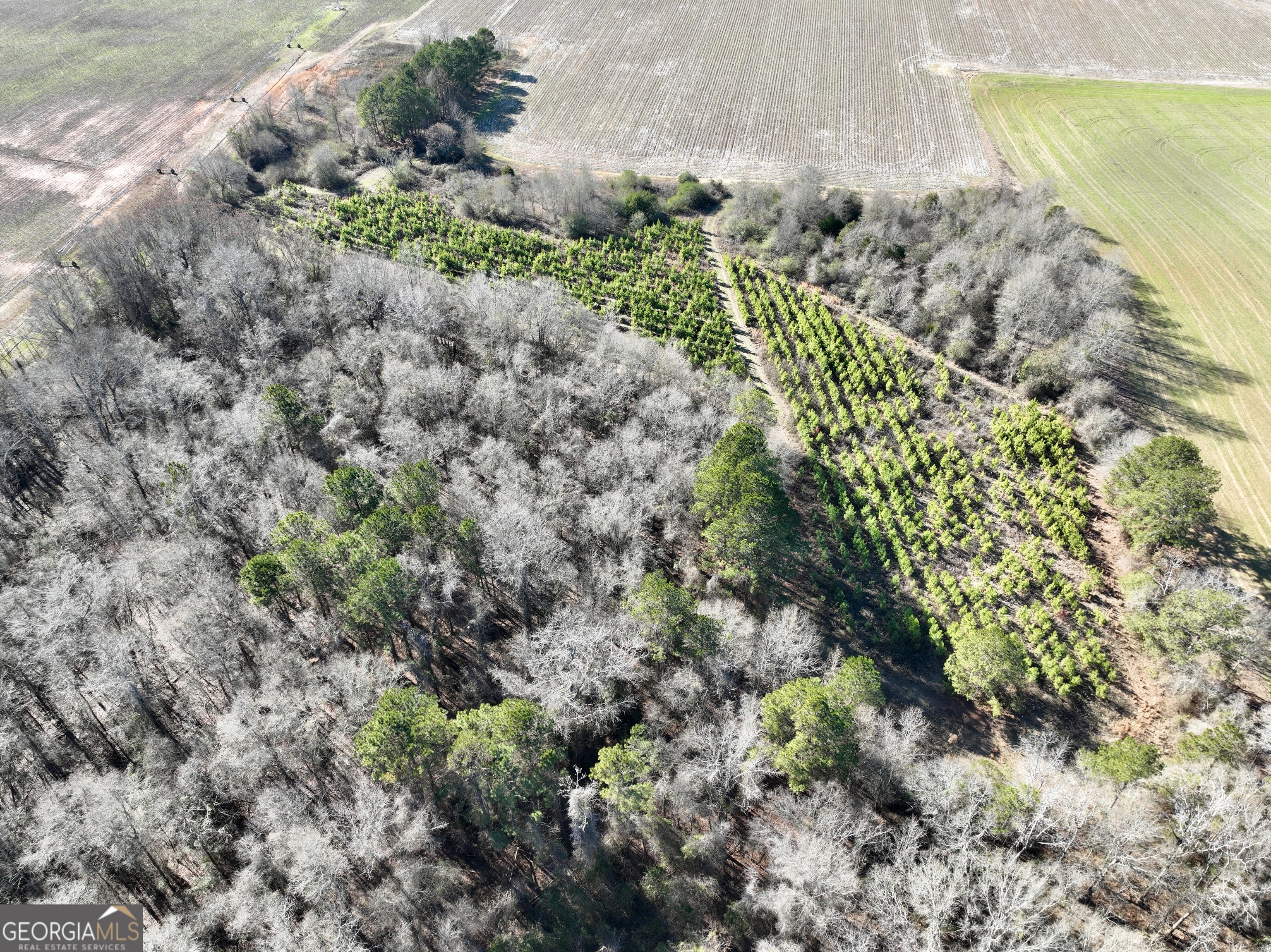 0 Jenkins Farm Road Byromville, GA 31007 - Photo 3 of 66