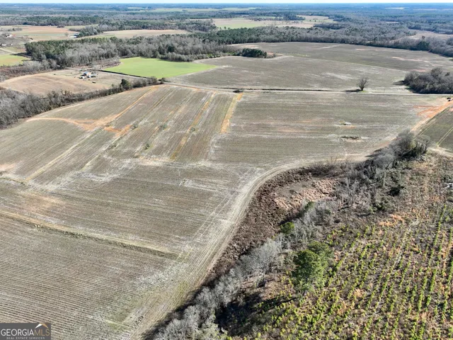 $1,032,000 | 0 Jenkins Farm Road, Byromville, GA 31007