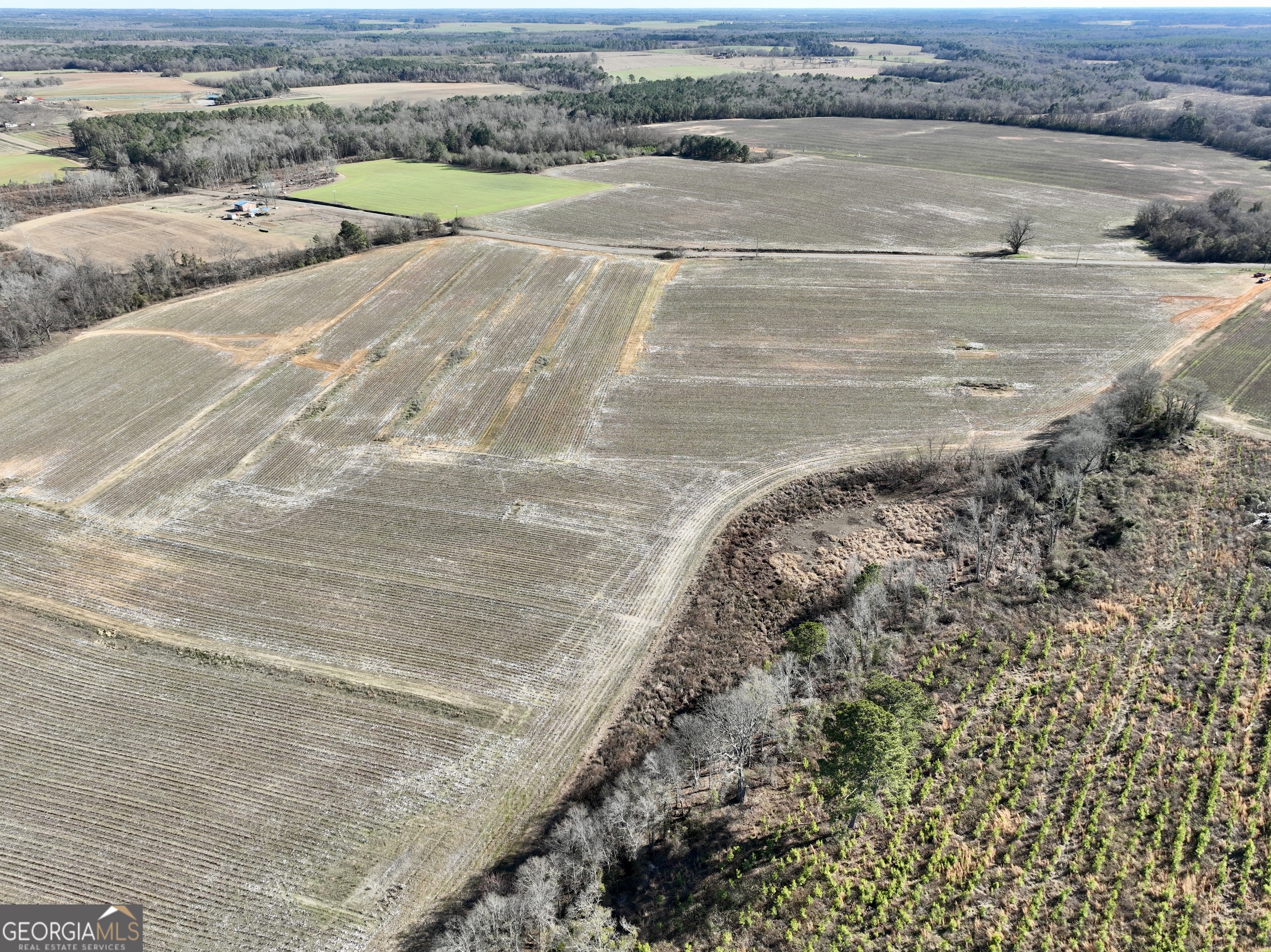 0 Jenkins Farm Road Byromville, GA 31007 - Photo 31 of 66