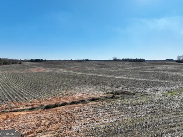 $1,032,000 | 0 Jenkins Farm Road, Byromville, GA 31007