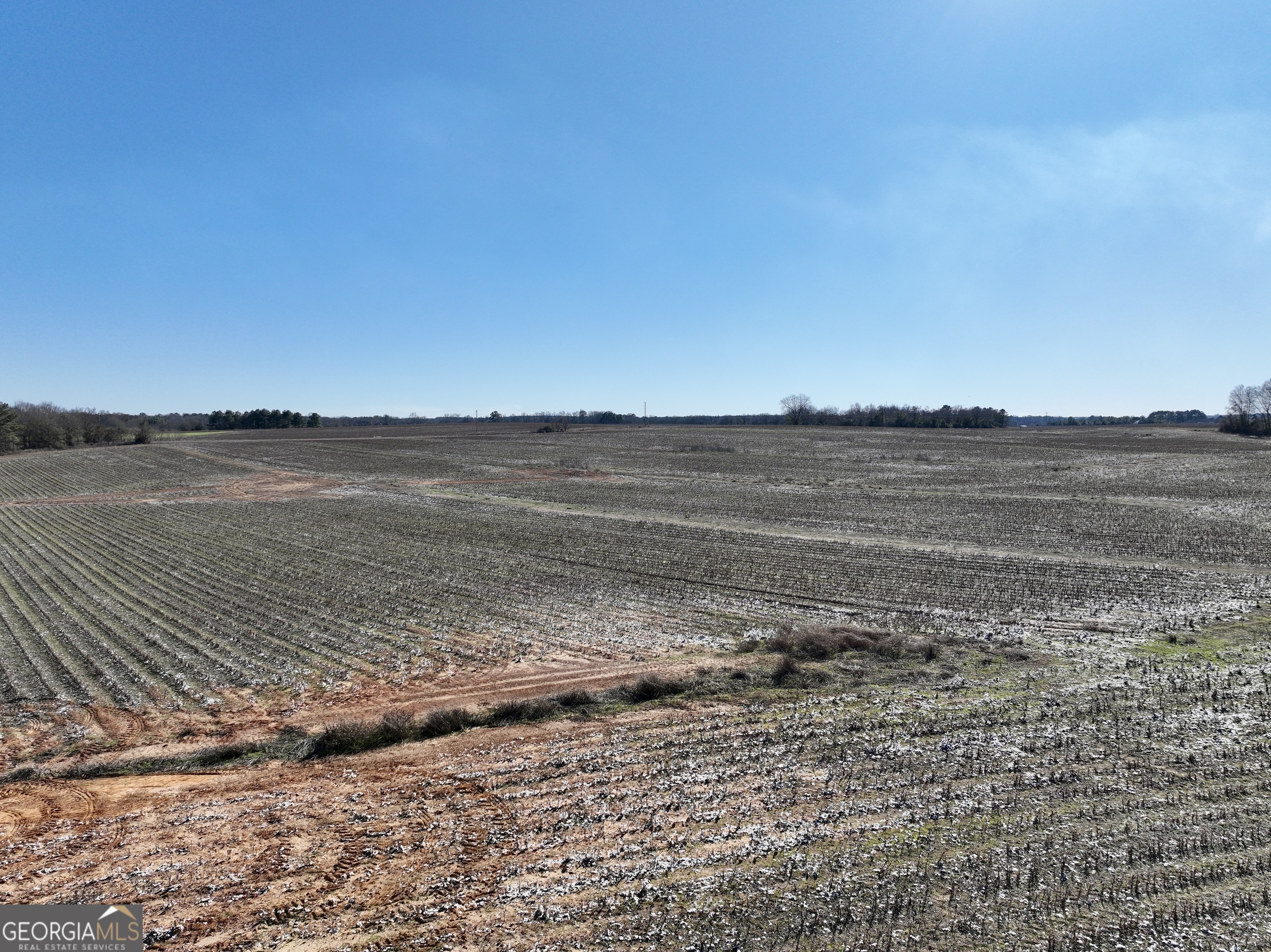 0 Jenkins Farm Road Byromville, GA 31007 - Photo 33 of 66