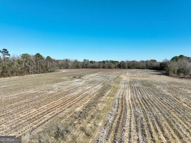 $1,032,000 | 0 Jenkins Farm Road, Byromville, GA 31007