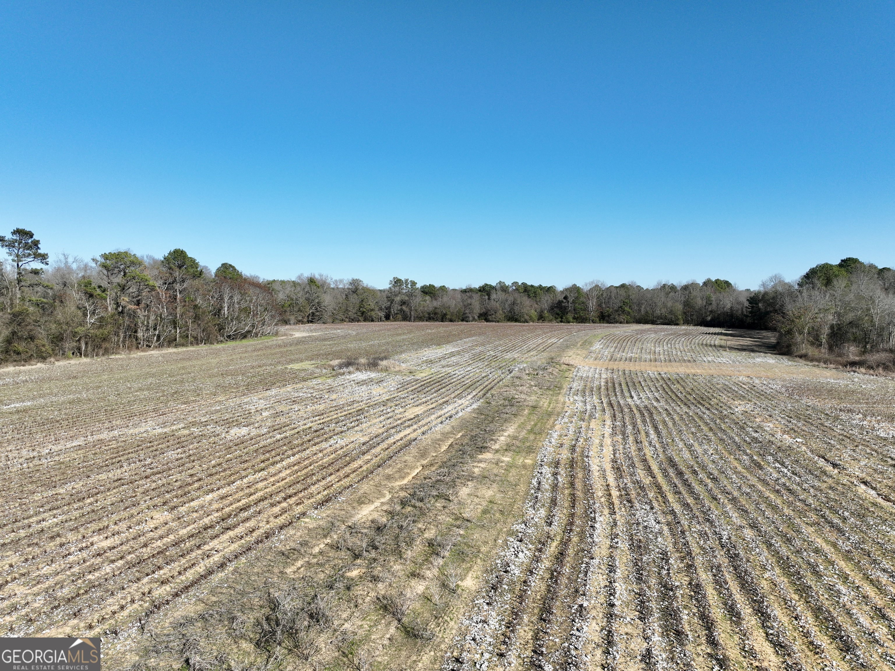 0 Jenkins Farm Road Byromville, GA 31007 - Photo 34 of 66