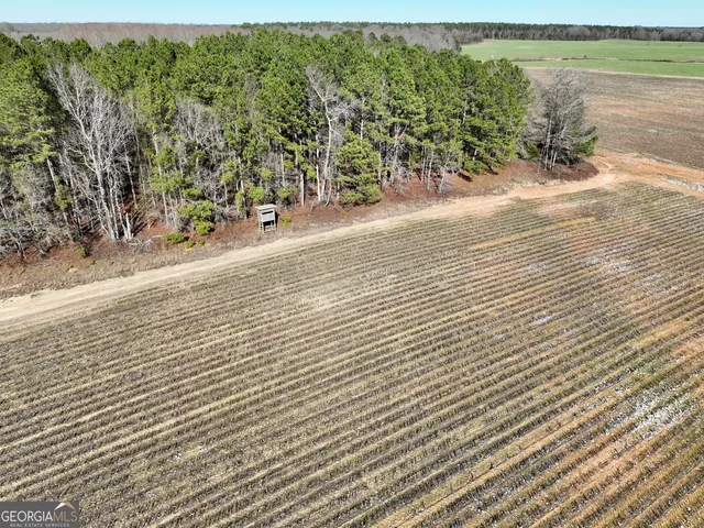 $1,032,000 | 0 Jenkins Farm Road, Byromville, GA 31007