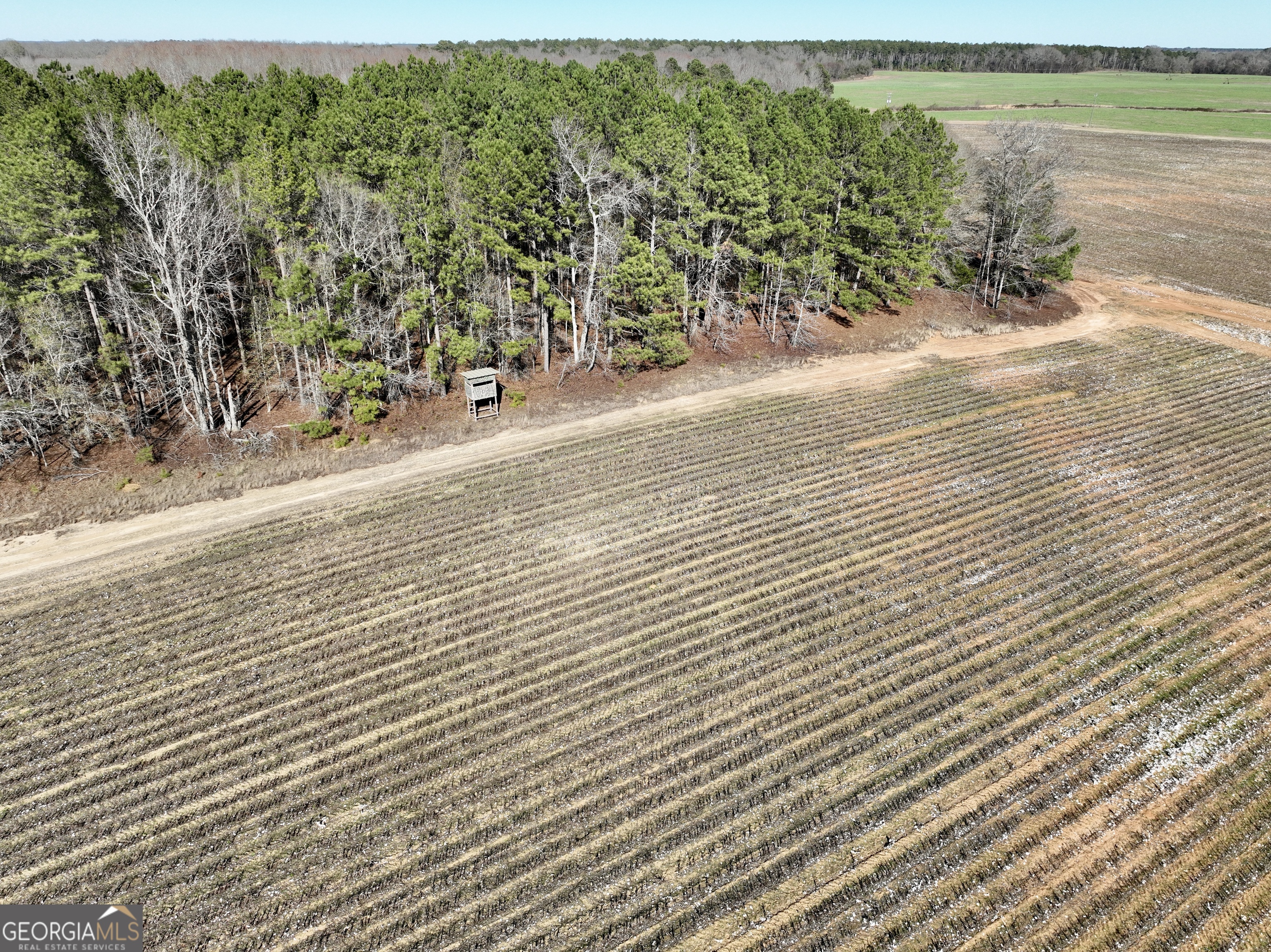 0 Jenkins Farm Road Byromville, GA 31007 - Photo 35 of 66