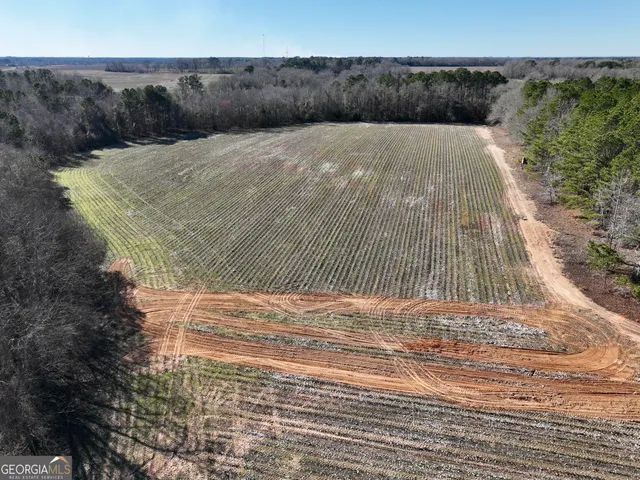 $1,032,000 | 0 Jenkins Farm Road, Byromville, GA 31007