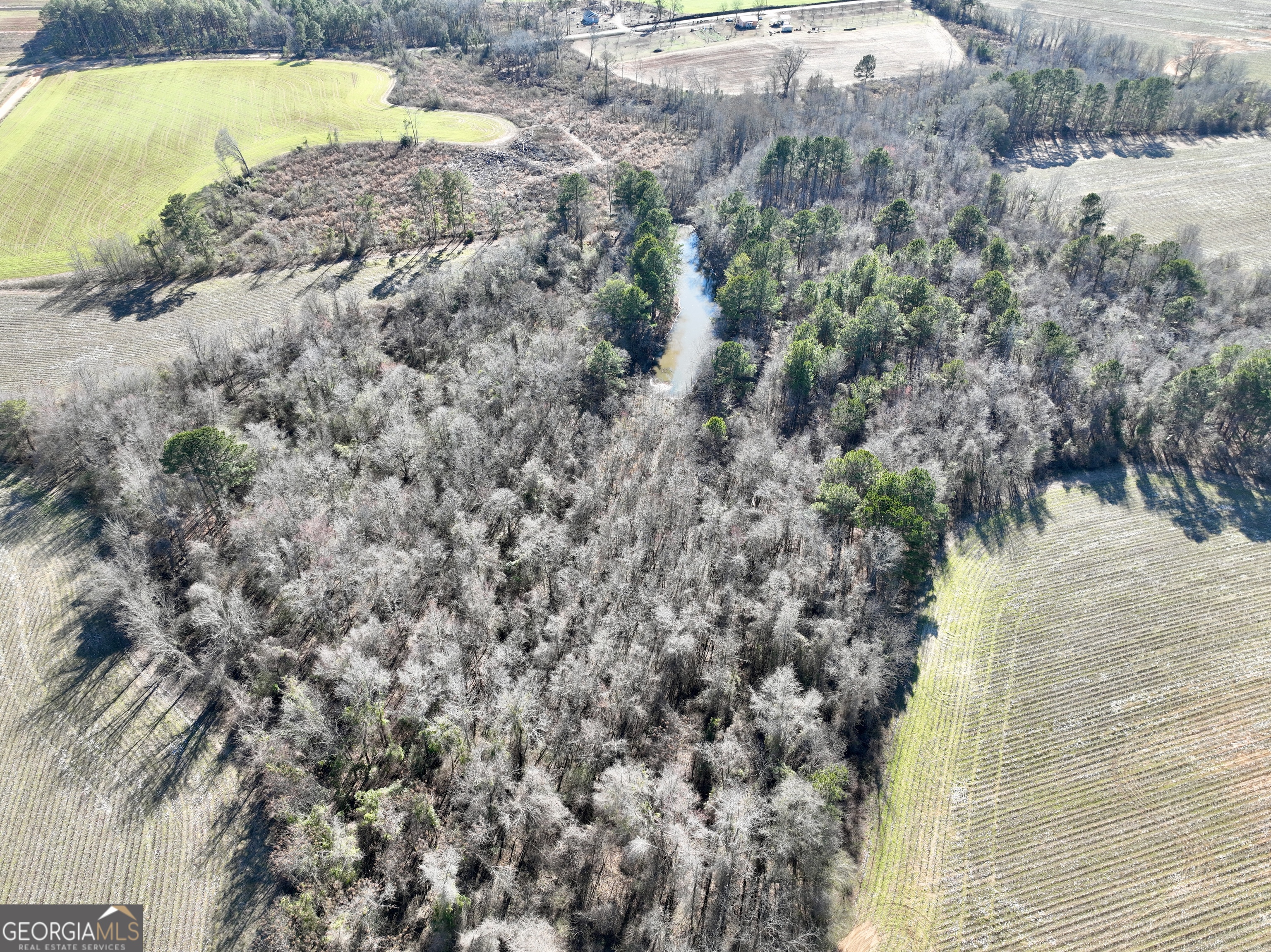 0 Jenkins Farm Road Byromville, GA 31007 - Photo 37 of 66