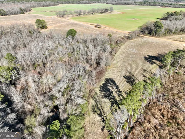 $1,032,000 | 0 Jenkins Farm Road, Byromville, GA 31007