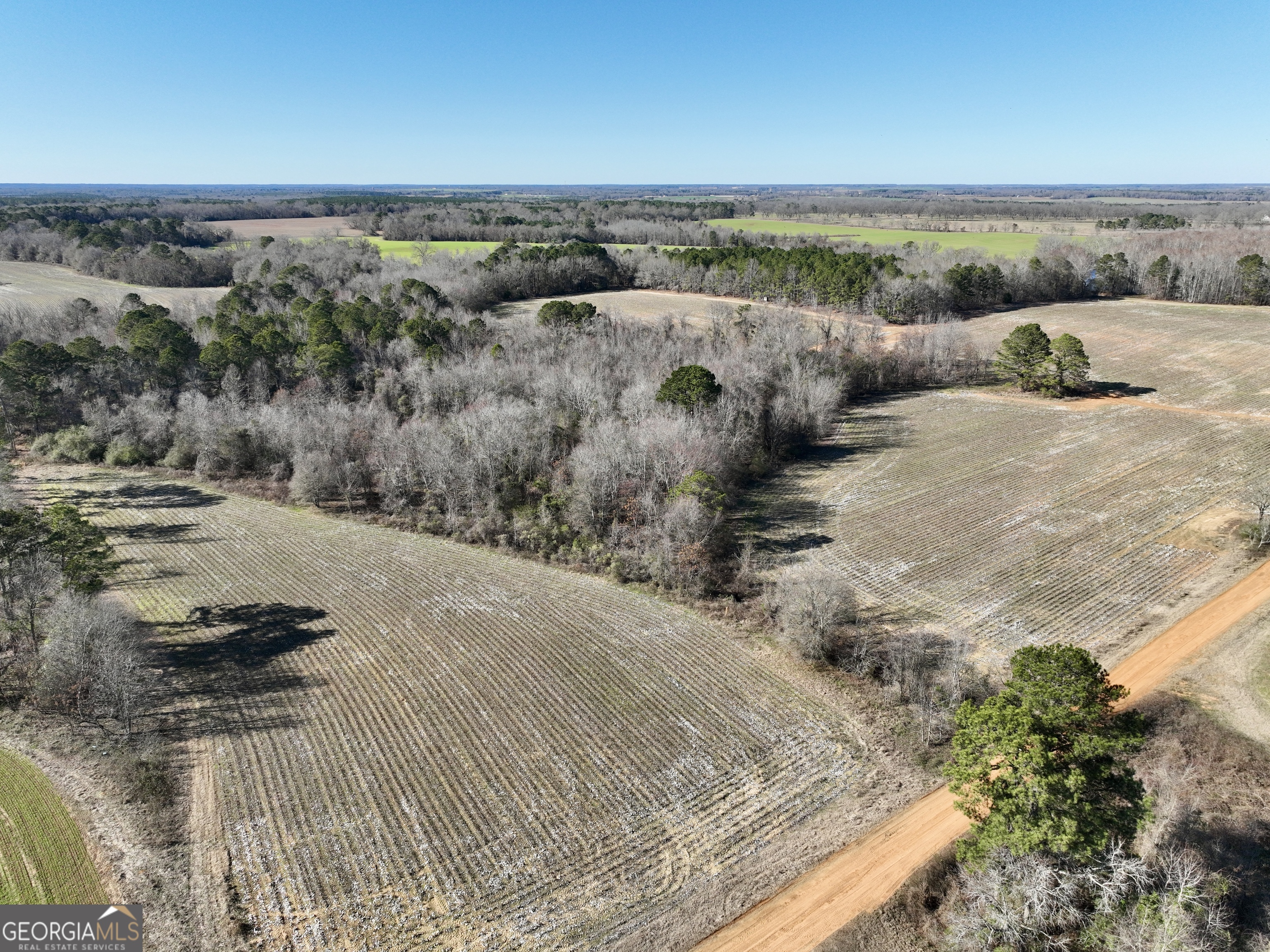 0 Jenkins Farm Road Byromville, GA 31007 - Photo 40 of 66