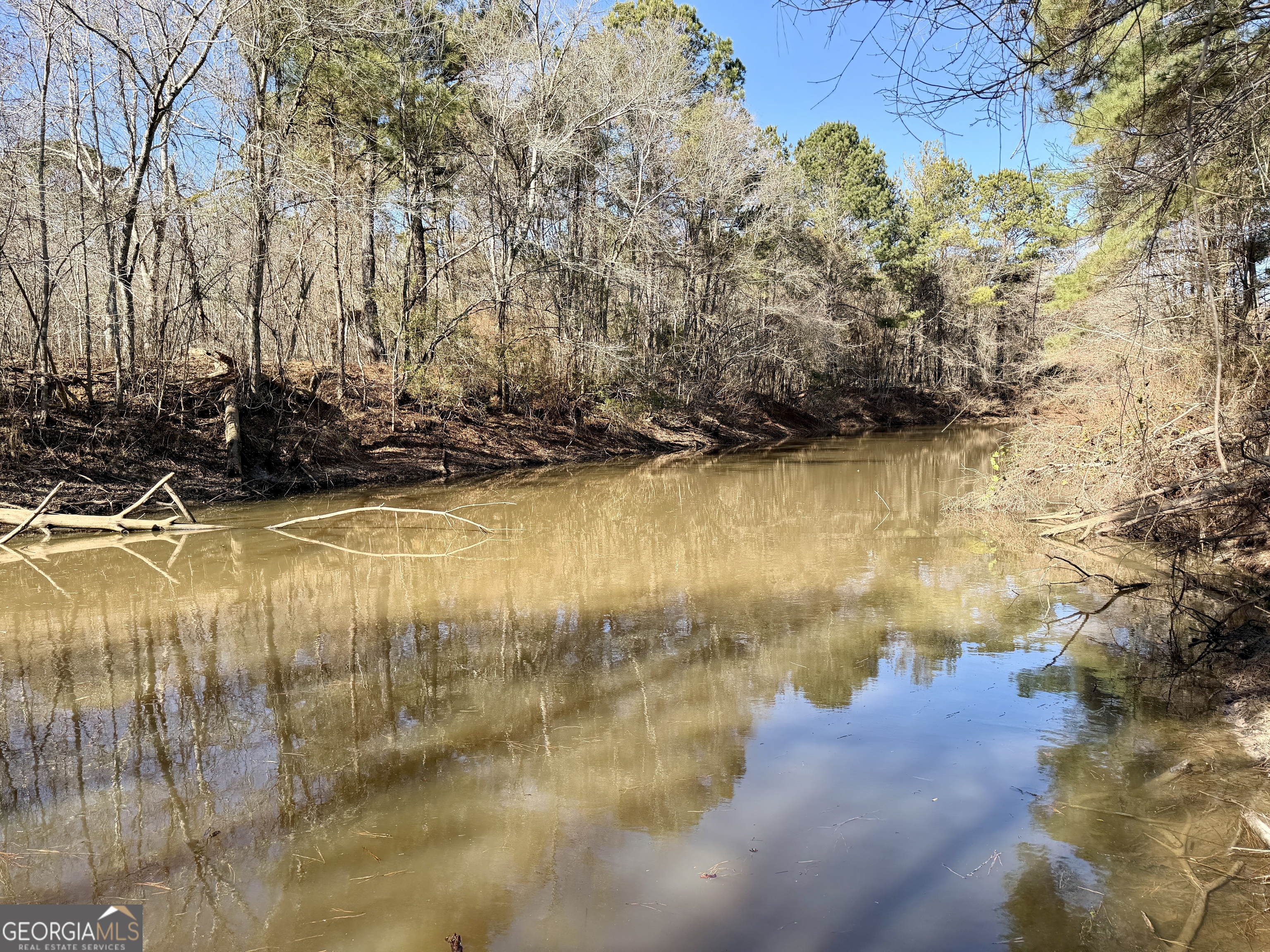 0 Jenkins Farm Road Byromville, GA 31007 - Photo 4 of 66