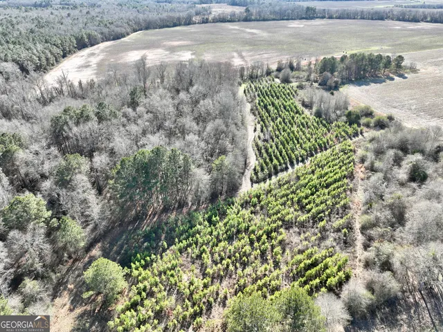 $1,032,000 | 0 Jenkins Farm Road, Byromville, GA 31007