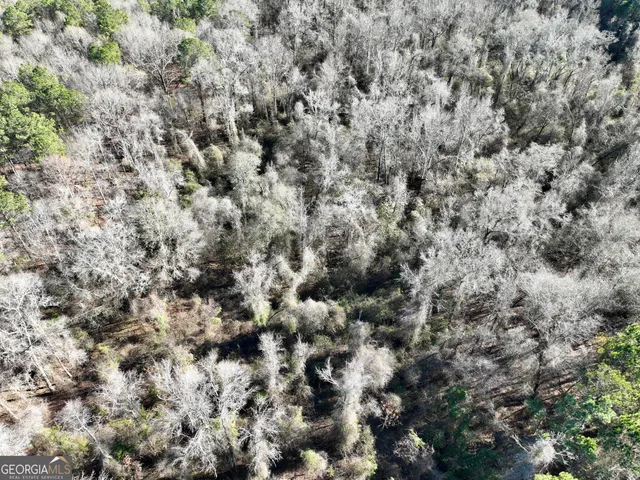 $1,032,000 | 0 Jenkins Farm Road, Byromville, GA 31007