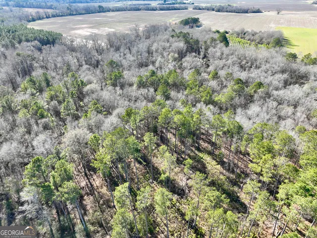 $1,032,000 | 0 Jenkins Farm Road, Byromville, GA 31007