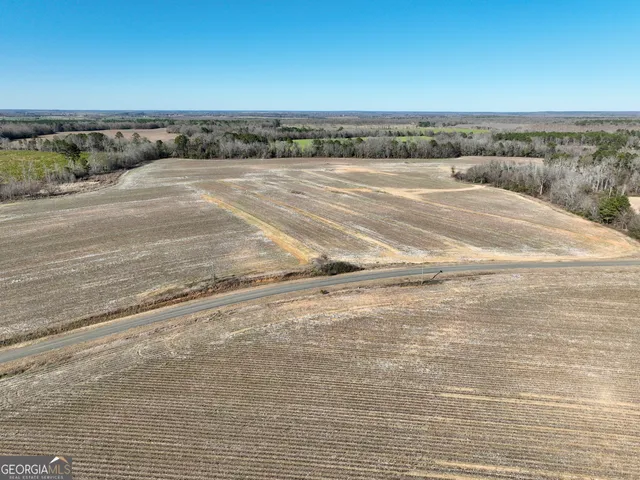 $1,032,000 | 0 Jenkins Farm Road, Byromville, GA 31007